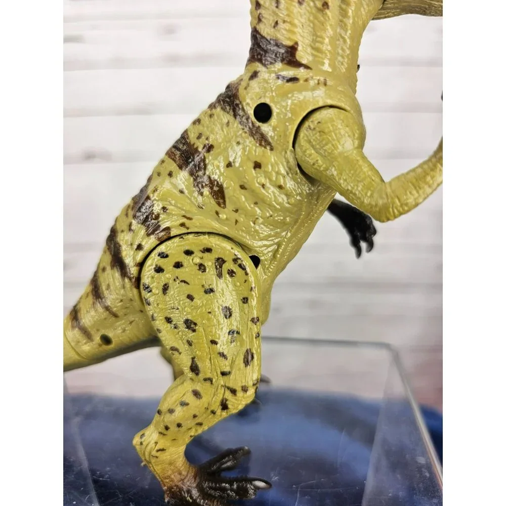 Kid Galaxy Allosaurus 6